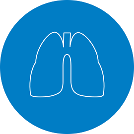 Die Lunge - Luftreiniger helfen ihr